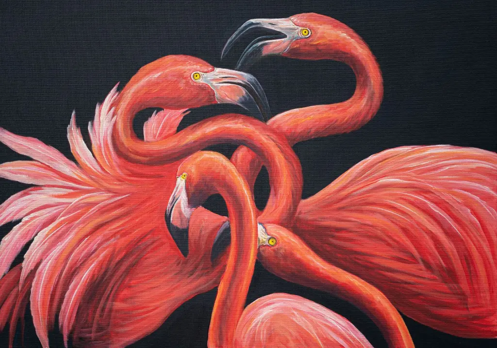 ronny-carrera-flamingos-artchipielago-1.webp