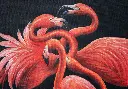ronny-carrera-flamingos-artchipielago-1.webp