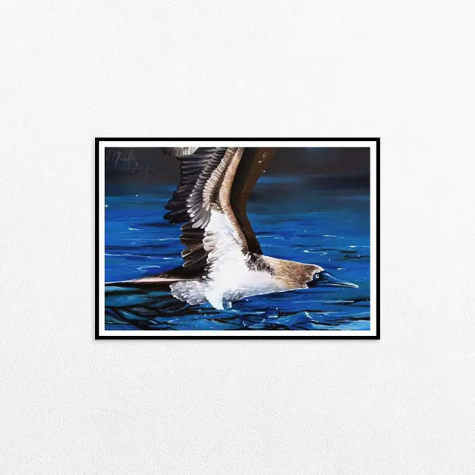 The Blue-Footed Booby